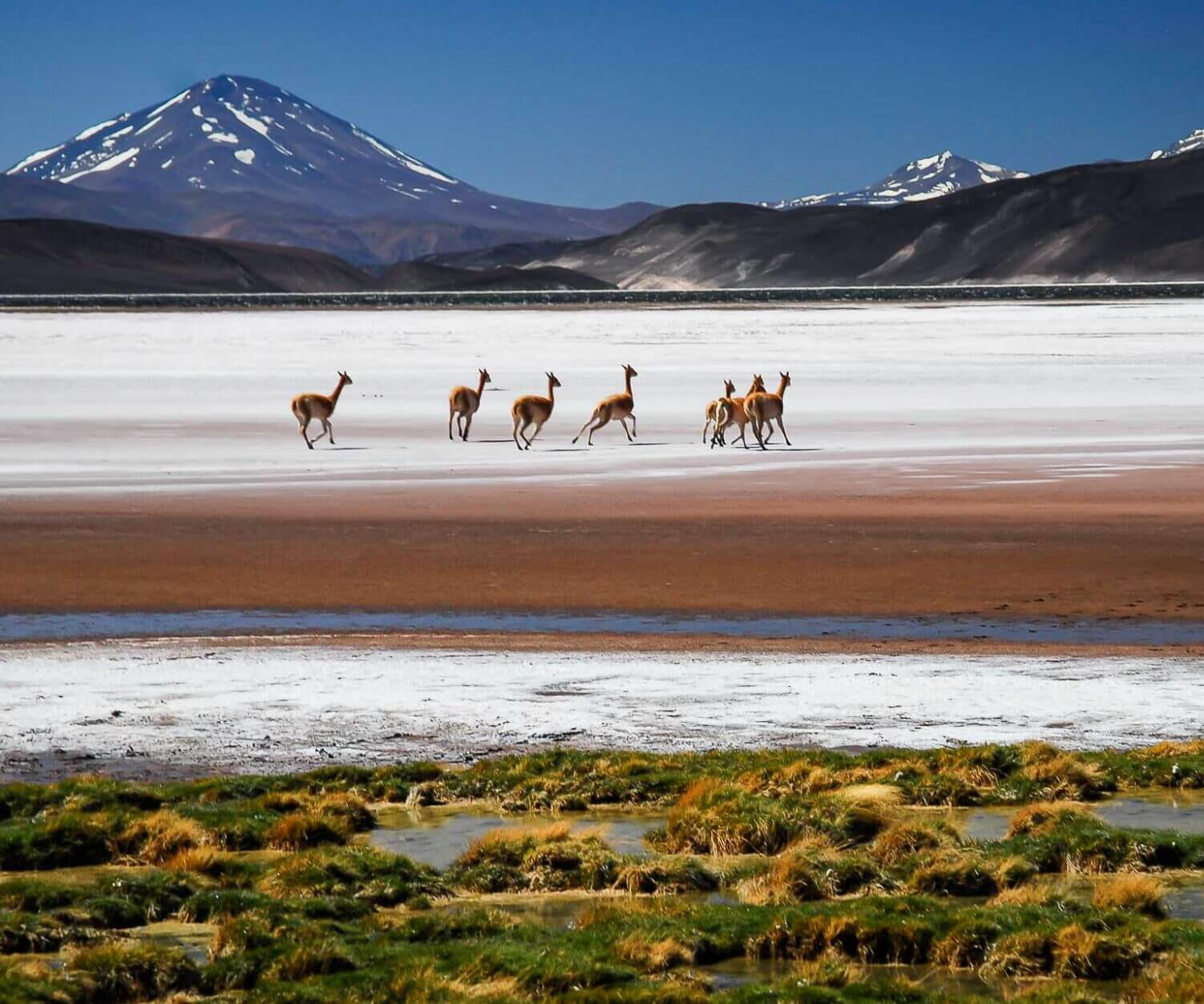 Laguny i Dzika Przyroda